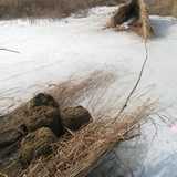 Let a Boat Set a Sail on the Icebound River