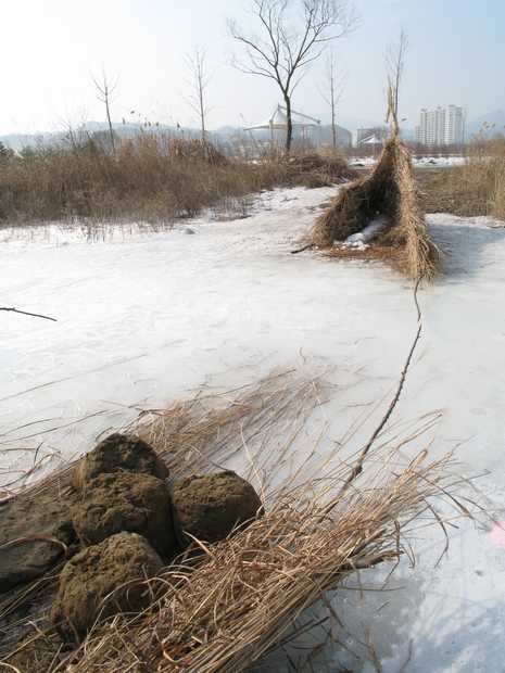 Let a Boat set a Sail on the Ice-bound River