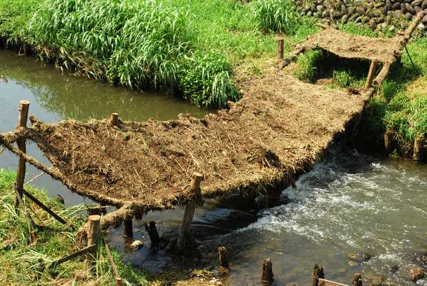 Bridge of Mud