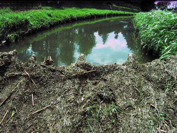 Bridge of Mud