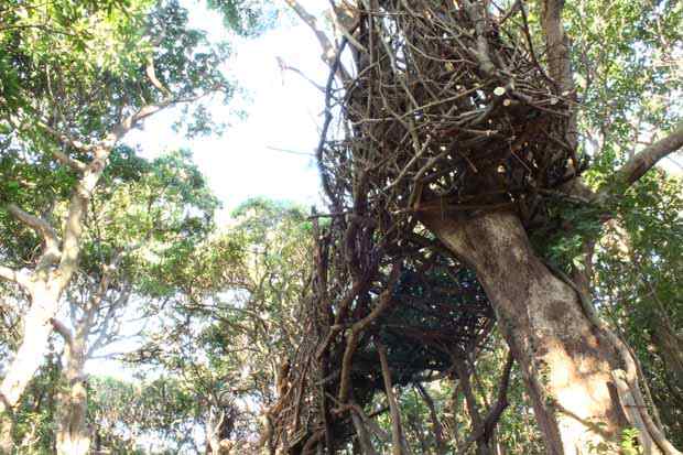 Born in the Forest, the Boat is Hovering through Trees towards the Ocean