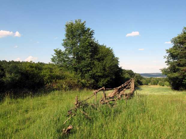 Boat on the Watch Hill